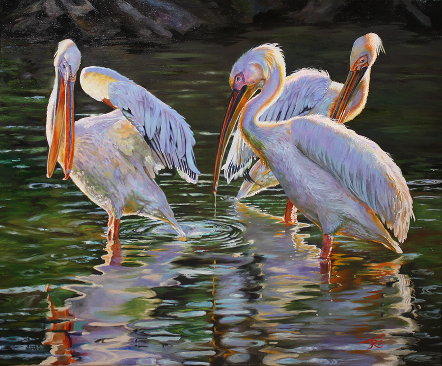 24x20 Oil Painting - Reflections Pelicans